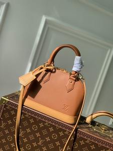 LV Handbags 666